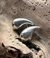 Topos gotas plata 925 - Rumiyana
