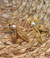 Aretes bronce con Baño en Oro - comprar online