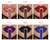 Niceface-Batons líquidos Nude à prova d'água, Velvet Matte Lip Gloss, de long