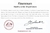 Fawnmum-Escolhas Dental Floss com Fio, Palitos De Bambu, Limpeza Dental, Escova - comprar online