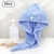 Fast Dry Hair Towel Wrap, Microfibra Super Absorvente, Veludo Coral, Secagem Rá - Casa Xique Xique