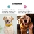 Silicone Anti-Lost Pet Collar, Posicionamento ajustável Collar, Apple Airtag, C