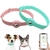 Silicone Anti-Lost Pet Collar, Posicionamento ajustável Collar, Apple Airtag, C na internet