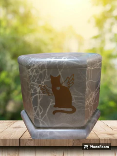 Imagen de Urna para Mascota