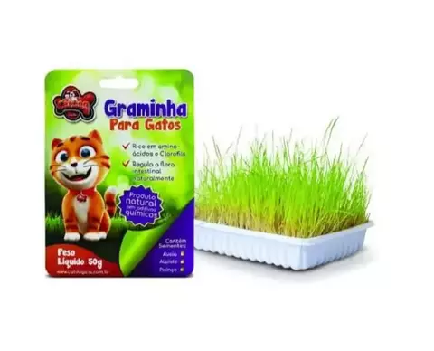 GRAMINHA PARA GATOS CAT DOG - 50G