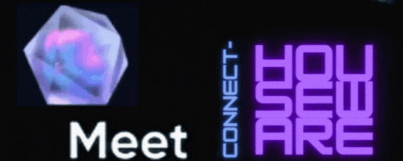 Connect Houseware.com.br