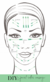 Rodillo Facial doble Simil Piedra Jade Natural Masajeador Rejuvenecedor Premium