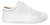 Zapatillas Bacán Zapato Vestir Cuero Hombre Urbanas Salir - comprar online
