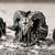 Nova Venda Quente Punk Gothic Satan Demon Skull Ring Jóias De Motocicleta Criativa De Moda Européia E Americana 2024 - comprar online