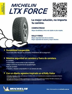 Michelin FORCE 215/65 R 16 en internet