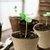 Kit Plantable Biodegradable - tienda online