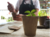 Kit Plantable Biodegradable en internet