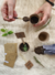Kit Plantable Biodegradable