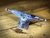 Truck Intruder pro silver 139mm Hi - comprar online