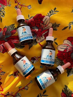 Bush Gardenia - comprar online