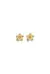 BRINCO DE FLOR NO OURO M BM1565-O