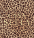 Cordura Estampada Animal print (Entrar para ver variantes) - Casa Suela