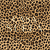 Cordura Estampada Animal print (Entrar para ver variantes) - Casa Suela