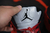Nike Air Jordan 5 Raging Bull Red na internet