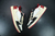 Nike Travis Scott x Air Jordan 1 Low Fragment RED na internet