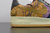 Imagem do Travis Scott x Nike Air Force 1 Cactus Jack