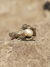 Imagen de PERLAS DE NEPTUNO RING