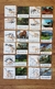 Miniaturas de fósseis de dinossauros - comprar online