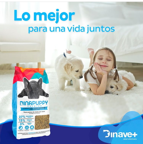 Carrusel 1