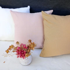 Combo Clara - comprar online