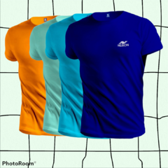 Remera Flex