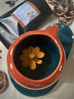 Blend Adaptógeno Energético: Cordyceps Y Moringa - Botámyco