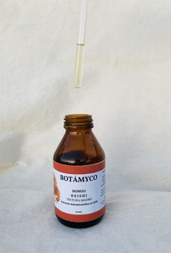 Tintura madre hongo Reishi (doble extracto) en internet
