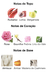 PRÉ VENDA Souvenir Floral Bouquet Afnan Eau de Parfum Feminino 100 ml – Perfume Árabe Ref Olfativa: Delina na internet