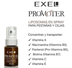 Promoter Exel - comprar online