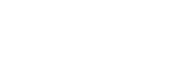 Made in Brasil