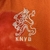 Camisa_holanda_home_i_lotto_laranja_van_der_sar_Reiziger_Seedorf_Davids_Bergkamp_Kluivert_winter_cocu_1996_futebol_eurocopa_1 (1)