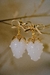 Aros Frutillitas Golden/white