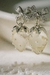 Aros Frutillitas Silver