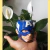 Capitán America
