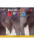 Welcome To Our World 3 Activity Book British 2Nd Ed