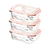 Kit 3 Potes De Vidro Herméticos Retangular 370ml