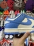 Nike Dunk Low “Coast” na internet