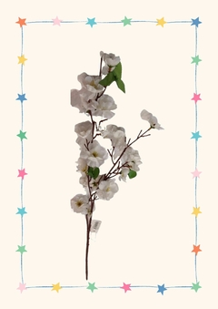 VARA DE DURAZNERO BLANCO 60CM