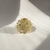 Imagem do fugu feliz verdinho 01