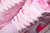 Dunk Low "Triple Pink" - loja online