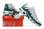 Imagem do Air Max Plus TN 1 "White/Green"