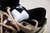 Imagem do Dunk Low "Red Panda"