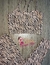 Top + Calça cintura alta empina textura zebra salmão - loja online