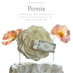 Peonía - comprar online