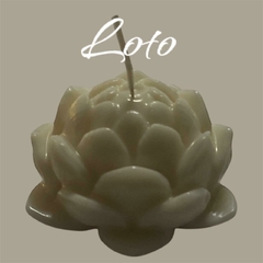 LOTO